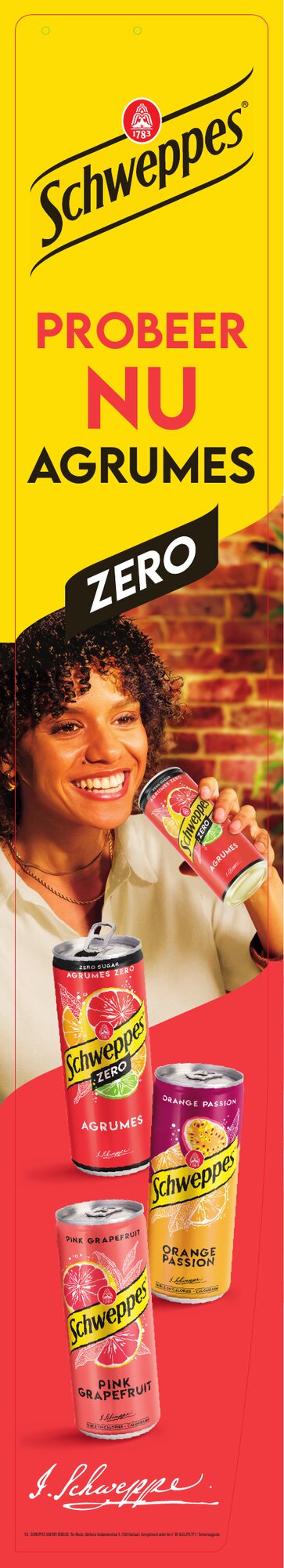 SCH26-088 Mainstream - Jumbo Banner XXL 165x1000 HD.pdf